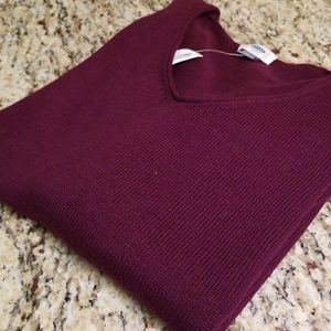 NWT v-neck plum sweater